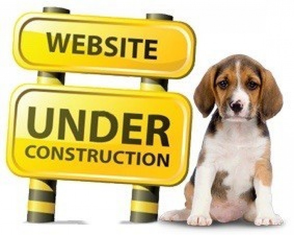 Our webpage is under construction