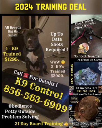 K9 Trainer 4 Hire 856-563-6909